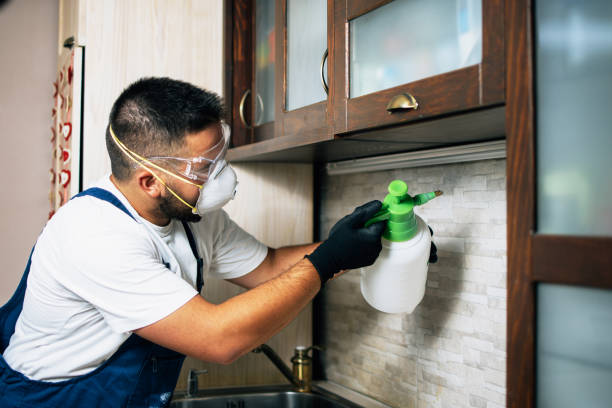 Best Rat Extermination Near Me  in Unt Vernon, MO