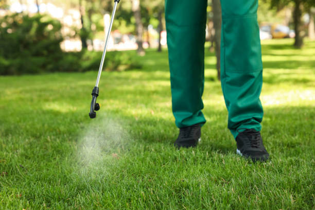 Best Mosquito Control Services  in Unt Vernon, MO
