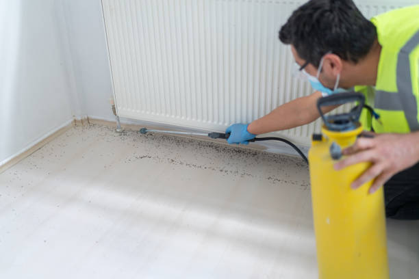 Best Best Pest Control Companies  in Unt Vernon, MO